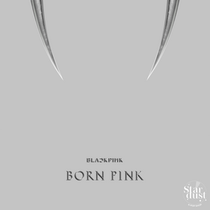 Blackpink Born Pink 2nd Album Boxset version Grey cover