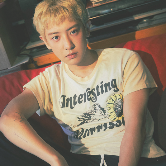 CHANYEOL - Stardust K-pop Shop